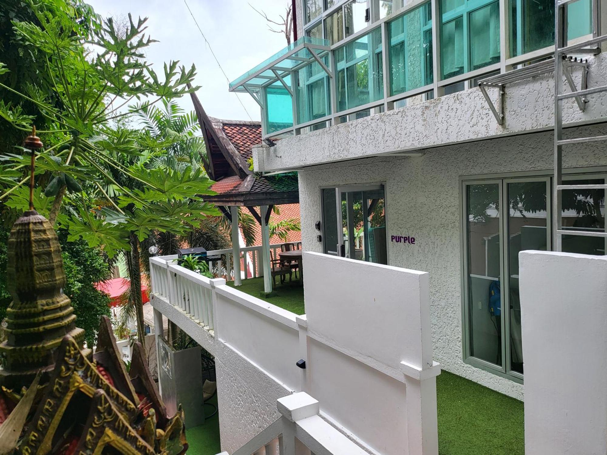 Entropy Capsules And Vandrarhem Patong